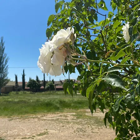 Molino Del Arriero Lodge *